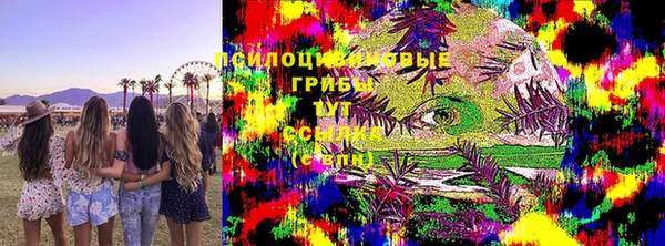 дживик Нефтегорск