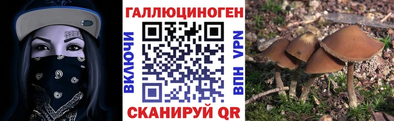 Галлюциногенные грибы Psilocybe  MEGA зеркало  Павлово 