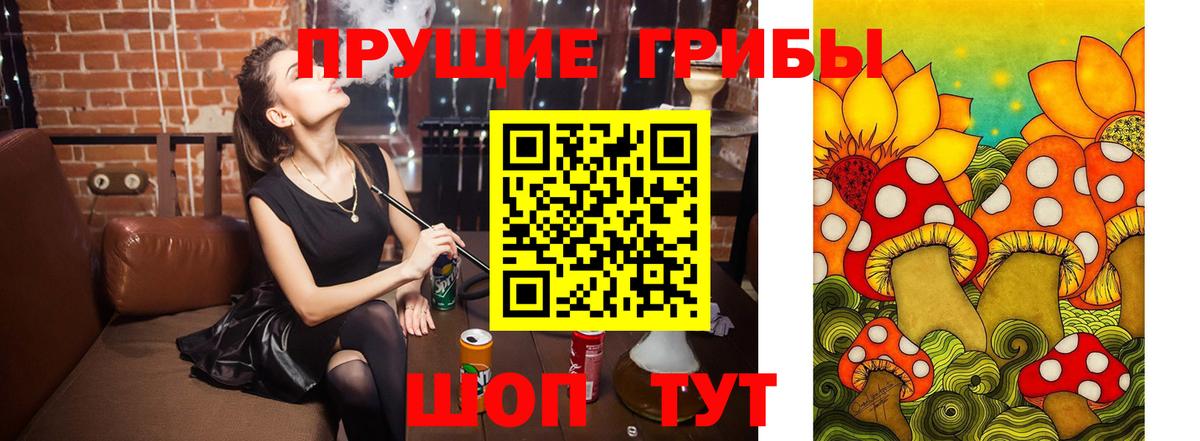 Галлюциногенные грибы прущие грибы Павлово