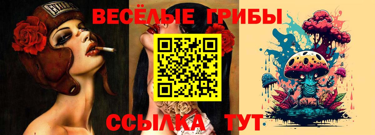 Псилоцибиновые грибы Psilocybe  Вход с VPN  Павлово  Галлюциногенные грибы Cubensis 